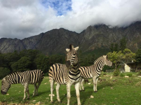 Franschhoek Country Cottages